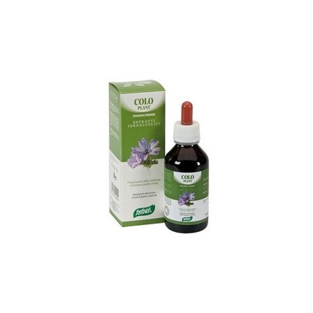 Zefirus Colo Plant Caldo Santiveri