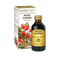 Dr Giorgini Rosa Canina  Analcolico Gemmo 10+ 100 Ml