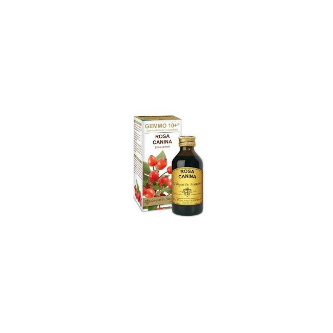 Dr Giorgini Rosa Canina  Analcolico Gemmo 10+ 100 Ml