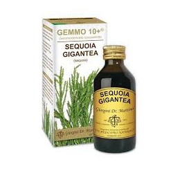 Sequoia 100ml Analcolico Gemmo 10+