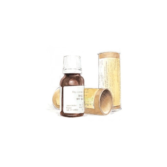 Cemon Platano Fee 15ml Cemon Platano Fee 15ml