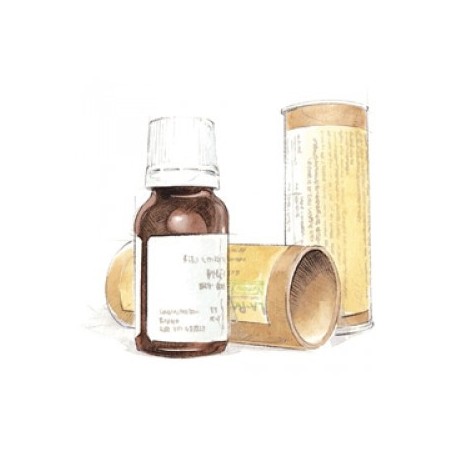 Cemon Platano Fee 15ml Cemon Platano Fee 15ml