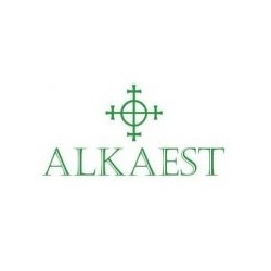 Alkaest Qe13 Menta 10ml