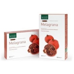 Melagrana 20 Ampolle Bevibili 15ml