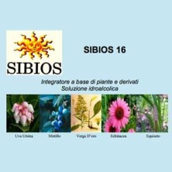 Sibios 16 Gocce 50ml