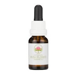 Macrocarpa Australian Bush 15ml