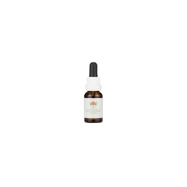 Macrocarpa Australian Bush 15ml Macrocarpa Australian Bush 15ml