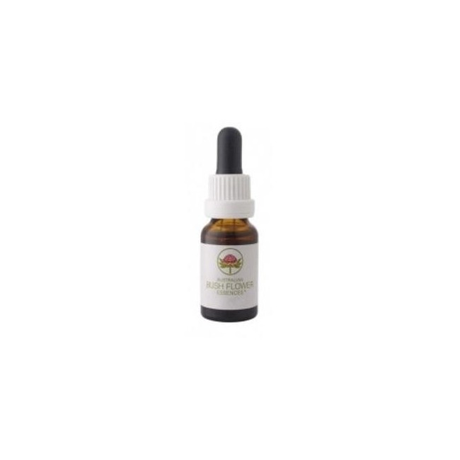 Waratah Australian Gocce 15ml Fiori Australiani Waratah Australian Gocce 15ml Fiori Australiani
