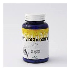 Phytochondrine 60 Capsule