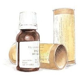 Cemon Press Fee 15ml