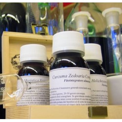 Lvs 71c Panax Ginseng Compositum