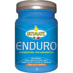 Ultimate Enduro Arancia Polvere 320g