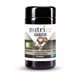 Nutriva Agaricus Abm 60 Capsule Nutriva Agaricus Abm 60 Capsule