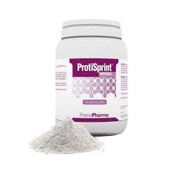 Protisprint Nutrition Polvere 300g