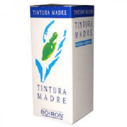 Tilia Tomentosa 60ml Tintura Madre