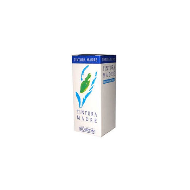 Tilia Tomentosa 60ml Tintura Madre