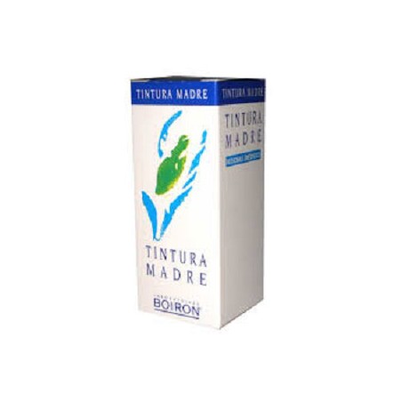 Tilia Tomentosa 60ml Tintura Madre