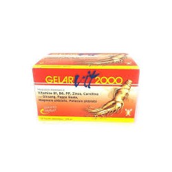 Gelarvit 2000 12 Flaconcini