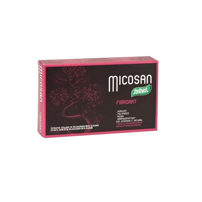 Micosan Fibroart 40 Capsule