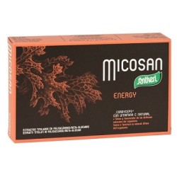 Micosan Energy 40 Capsule 19 G