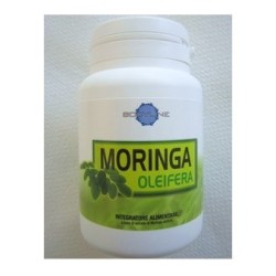Moringa Oleifera 60 Capsule