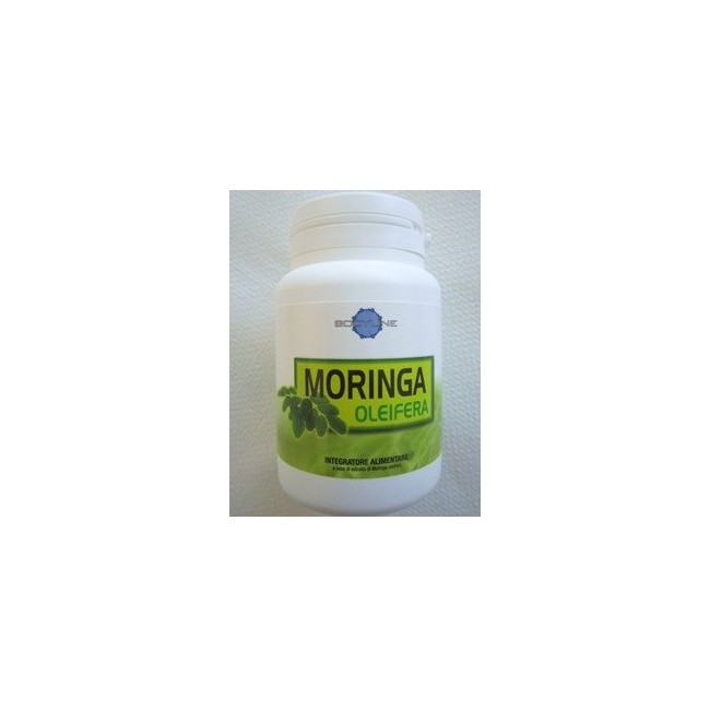 Moringa Oleifera 60 Capsule Moringa Oleifera 60 Capsule