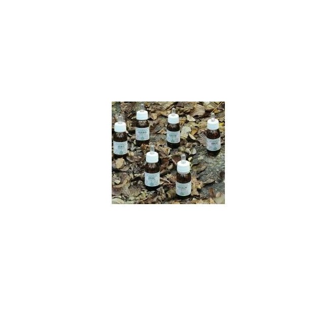 Alchemica Valgelata Ka 9 Olio Da Massaggio 100ml