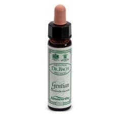 Santiveri Ainsworths Gentian 10ml