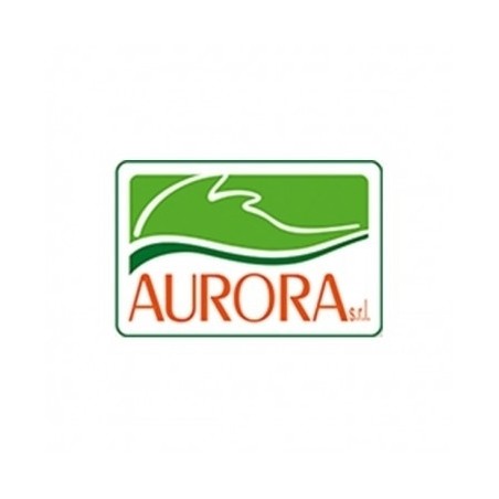 Aurora Hypericum Perforatum 30ch Granuli Aurora Hypericum Perforatum 30ch Granuli