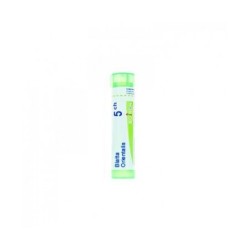 Boiron Blatta Orientalis 5ch Granuli 4g