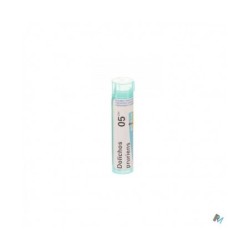 Boiron Dolichos Pruriens 5ch Granuli