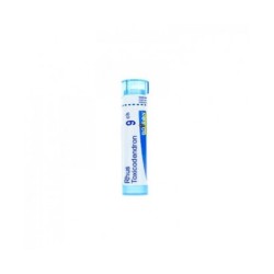 Boiron Rhus Toxicodendron 9ch Globuli
