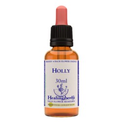 Natur Holly Essenza 30ml