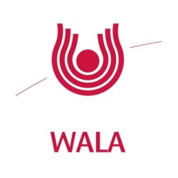 Prunus Spinosa Ferm C Ferro Globuli Wala