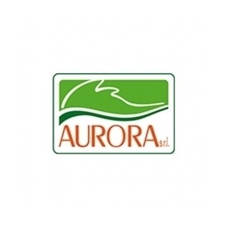 Aurora Equisetum Hiemale 30ch Granuli Aurora Equisetum Hiemale 30ch Granuli