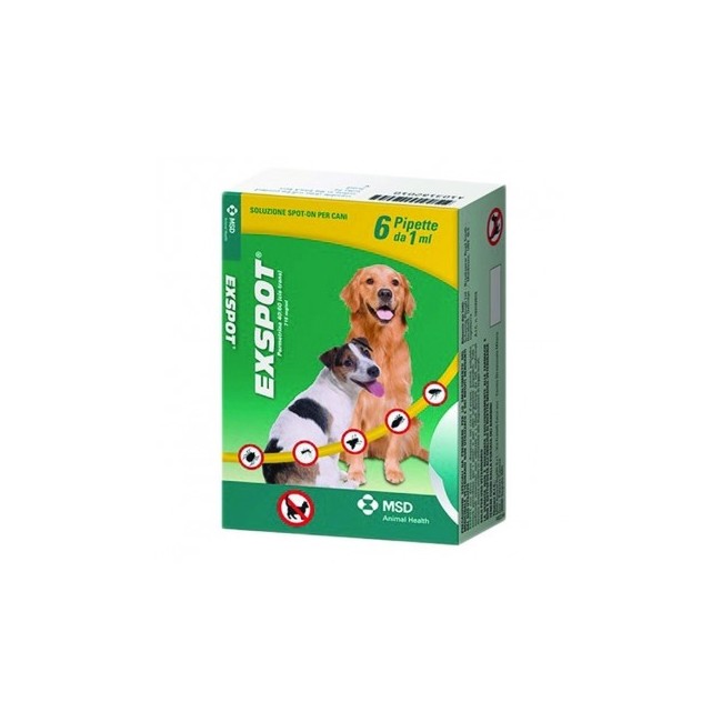 Exspot 6 Pipette X2ml Exspot 6 Pipette X2ml