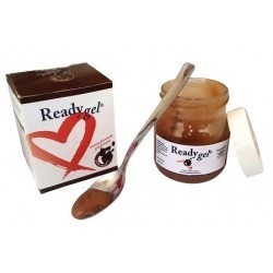 Ready Gel Gusto Cacao 150ml