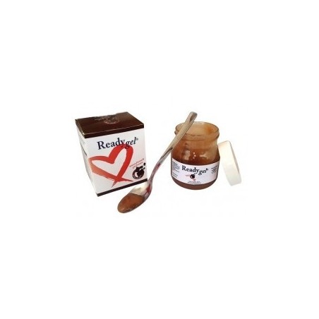 Ready Gel Gusto Cacao 150ml