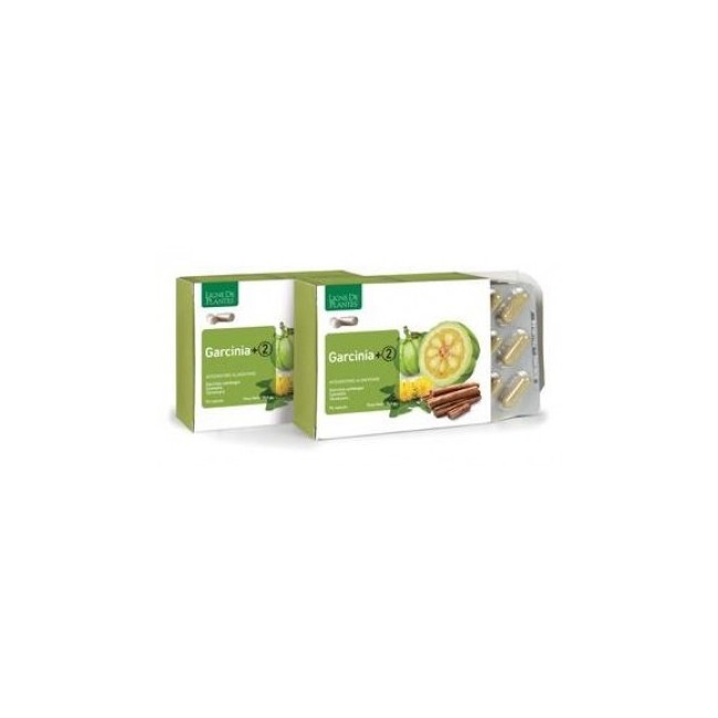 Natura Service Garcinia+2 90 Capsule Natura Service Garcinia+2 90 Capsule