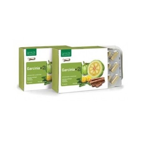 Natura Service Garcinia+2 90 Capsule Natura Service Garcinia+2 90 Capsule