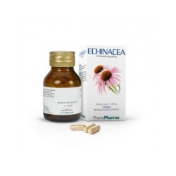 Promopharma Echinacea 50 Capsule
