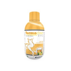 Shedirpharma Termodren Evo Tè Limone 500ml