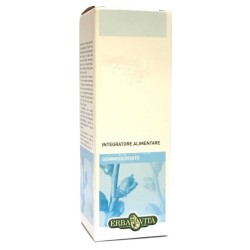 Erba Vita Betulla Pubescente Gemmoderivati