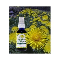 Natur Dente Di Leone Olio Biodiamico 60ml