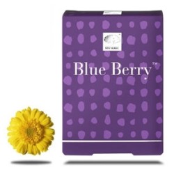 Blue Berry 120 Compresse 2 Pezzi