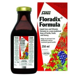 Floradix 250 Ml 6 Pezzi