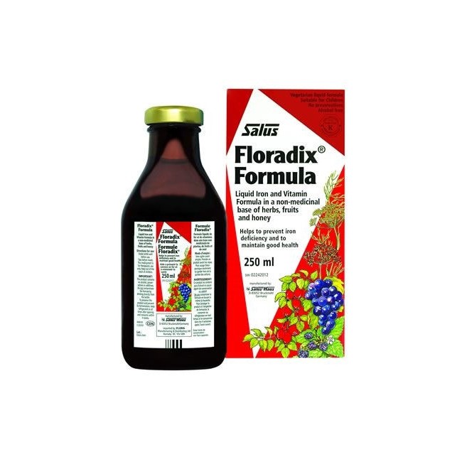 Floradix 250 Ml 6 Pezzi