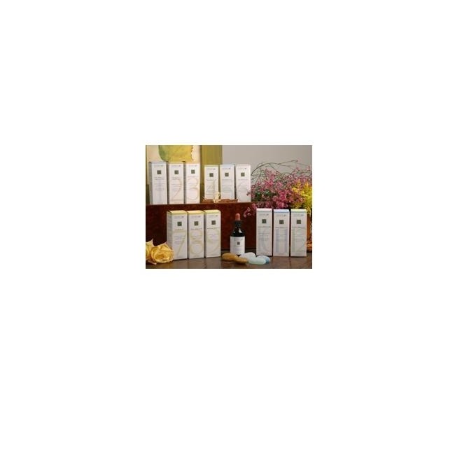 Zef03 Gastro Plant Santiveri 6 Pezzi Zef03 Gastro Plant Santiveri 6 Pezzi