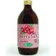 Berrysan Puro Succo Cranberry 500 Ml 6 Pezzi