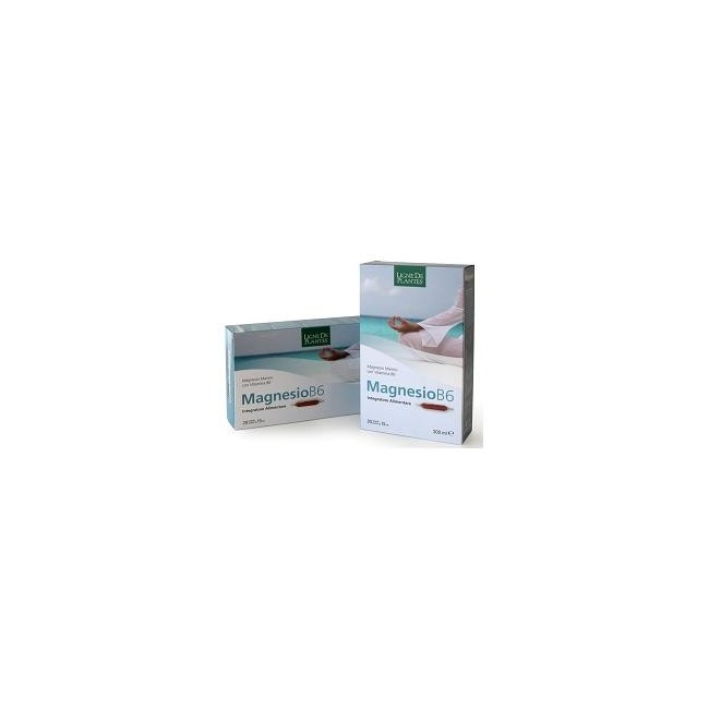 Magnesio B6 20 Ampolle Bevibili 15 Ml 6 Pezzi